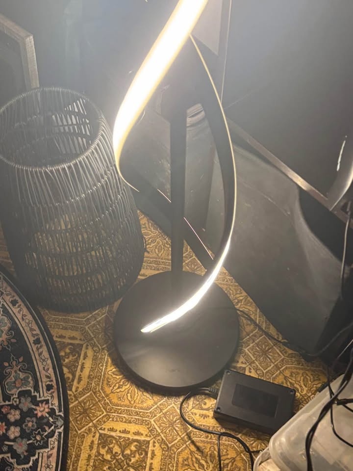60" Led Novelty Floor Lamp Dimmable Floor Lamps - photo 2
