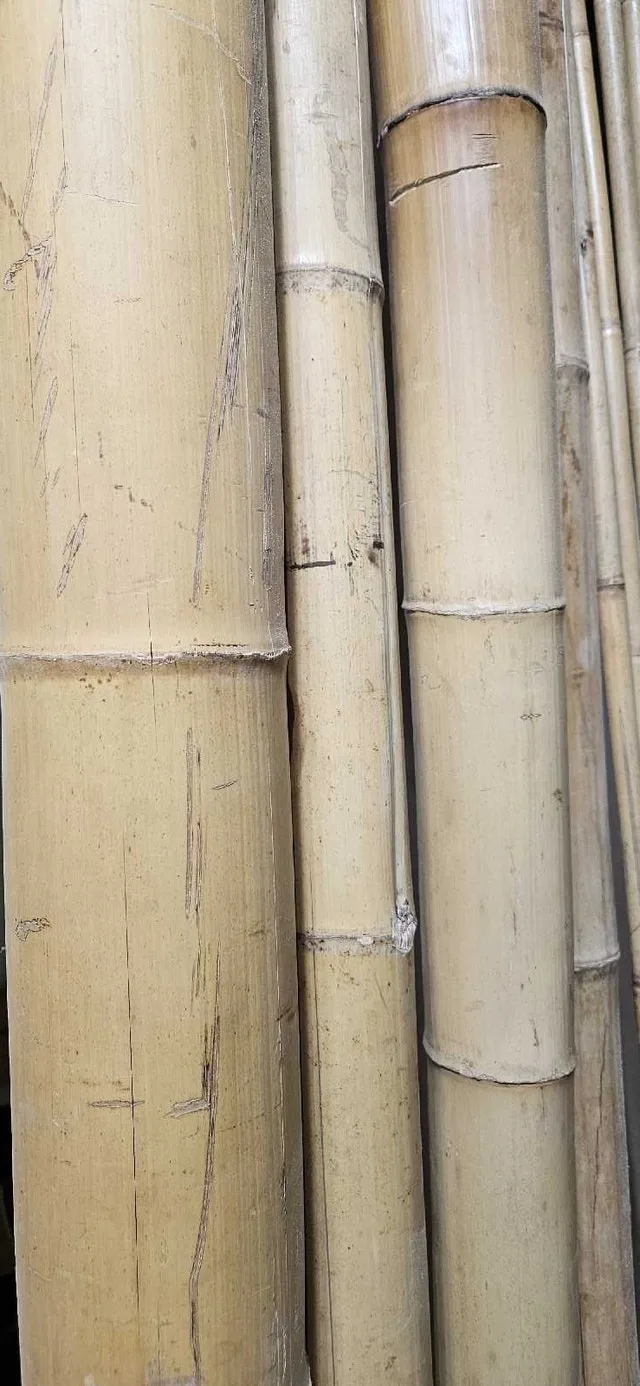 Bamboo lumber