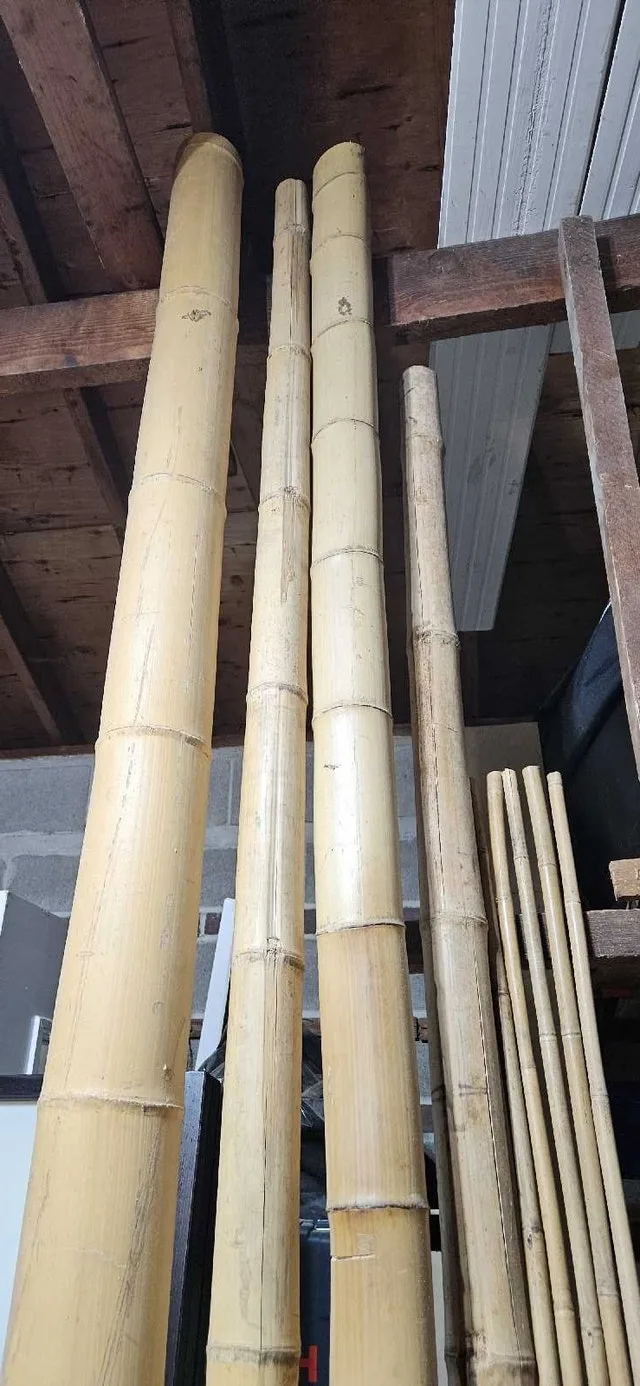 Bamboo lumber image indicator(3)