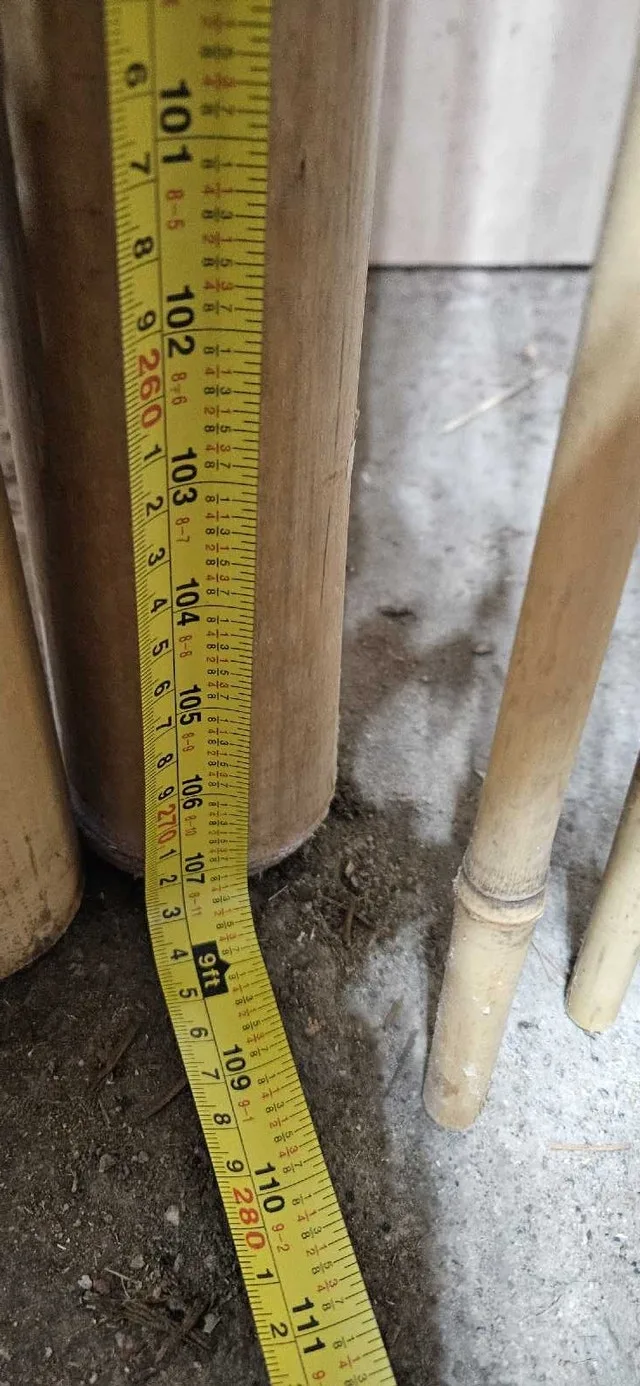 Bamboo lumber image indicator(7)