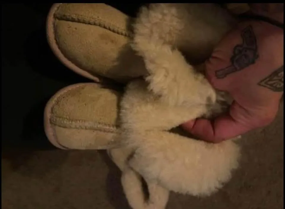 Baby uggs- blue mountain as 3 image indicator(7)