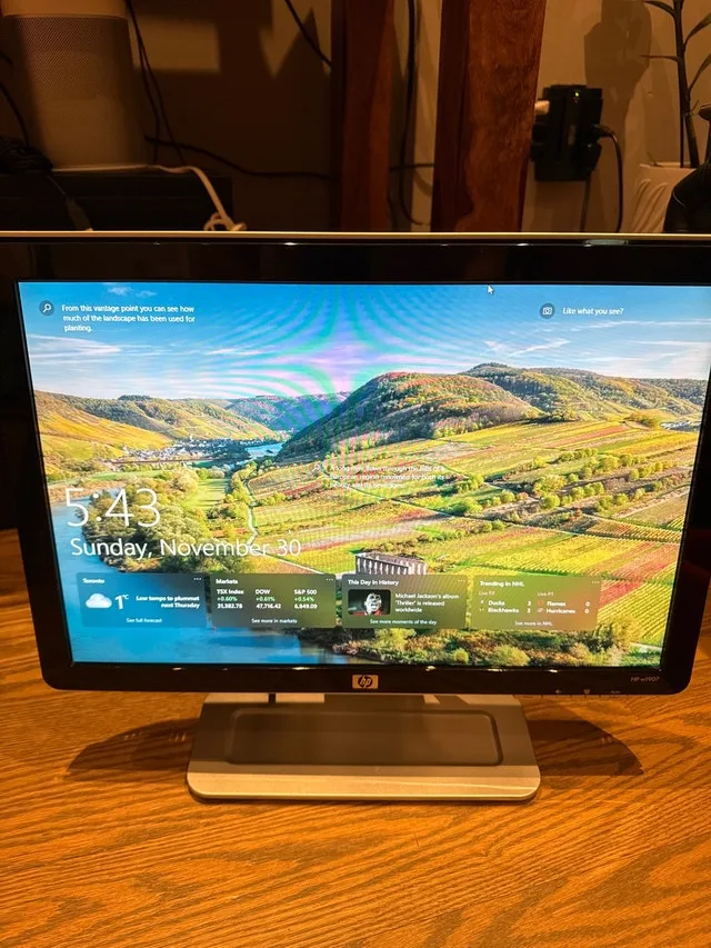 HP w1907 19” LCD Monitor