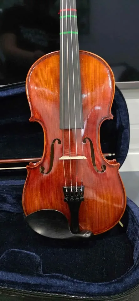Violin, bow case and chin and shoulder rest image indicator(2)