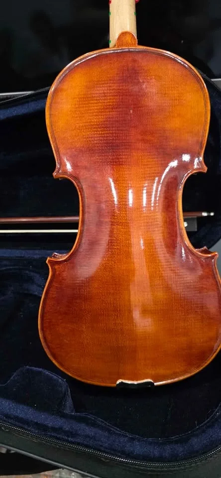 Violin, bow case and chin and shoulder rest image indicator(3)