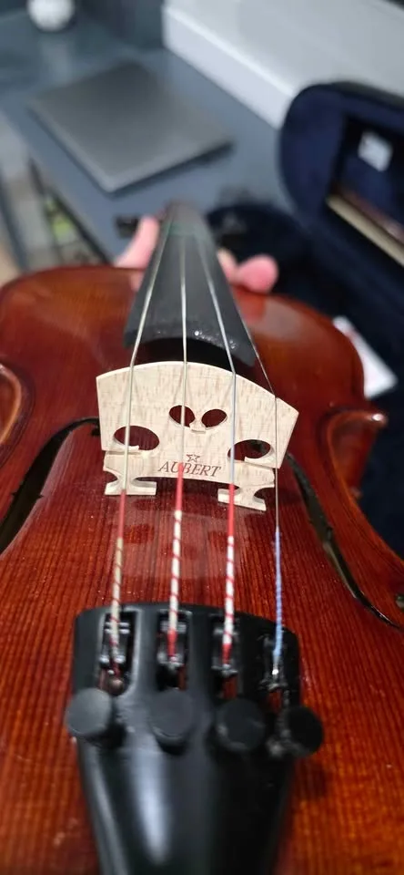 Violin, bow case and chin and shoulder rest image indicator(5)