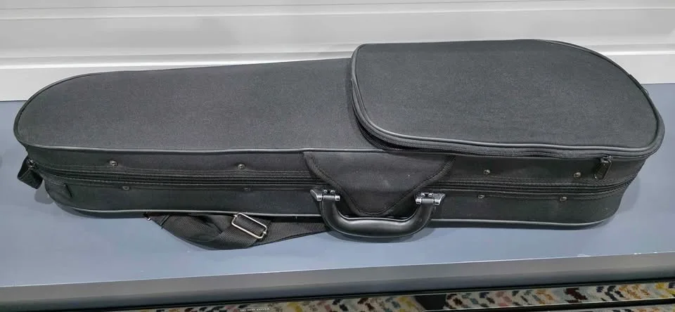 Violin, bow case and chin and shoulder rest image indicator(8)