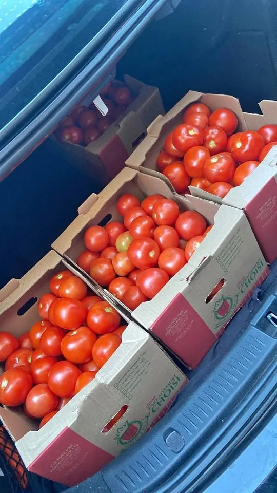 Tomatoes 25lb