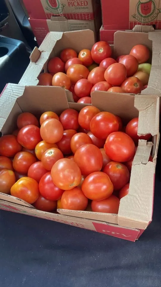 Tomatoes 25lb image indicator(3)