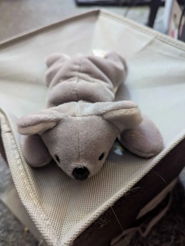 Stuffies image indicator(2)