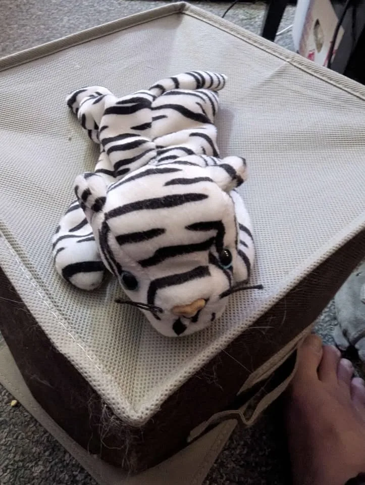 Beanie Baby image indicator(5)