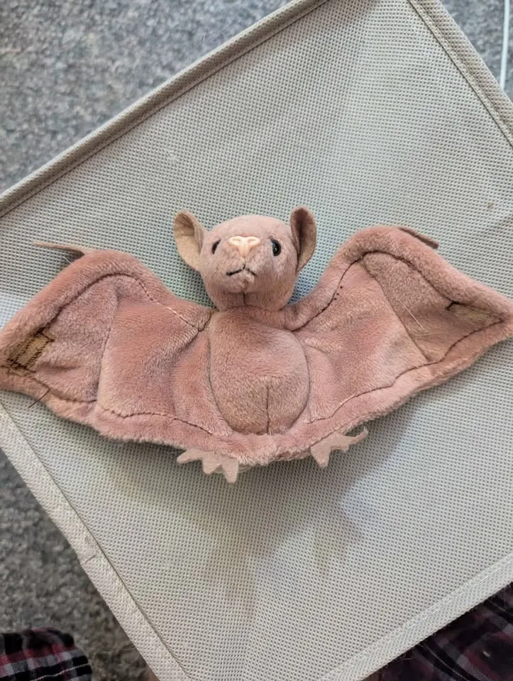 Beanie Baby image indicator(7)