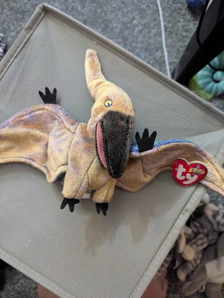 Beanie Baby image indicator(3)