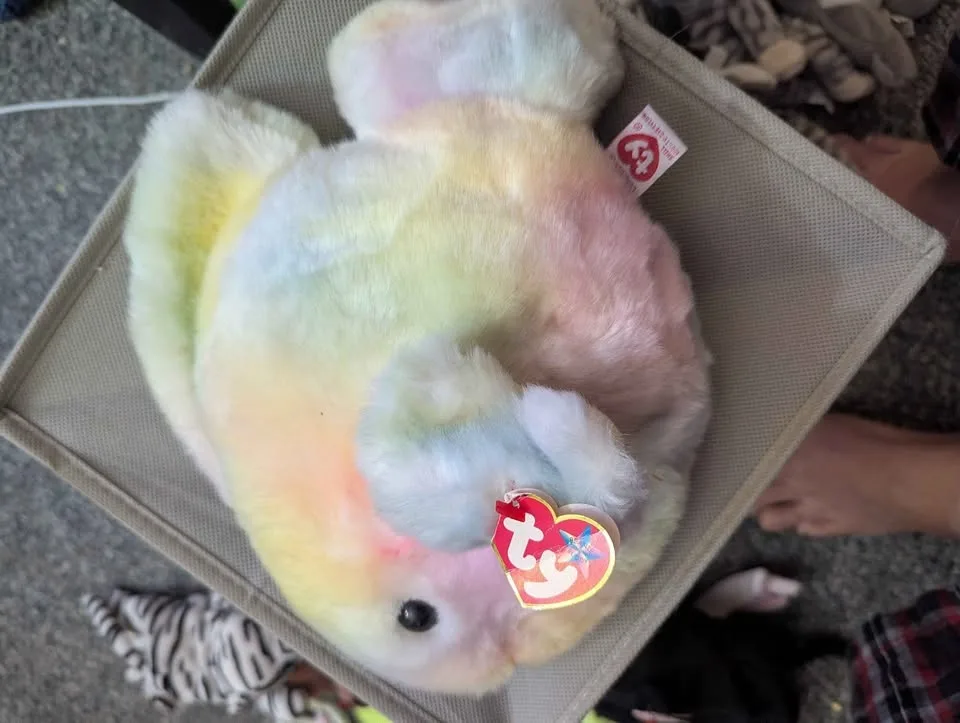 Beanie Baby image indicator(5)