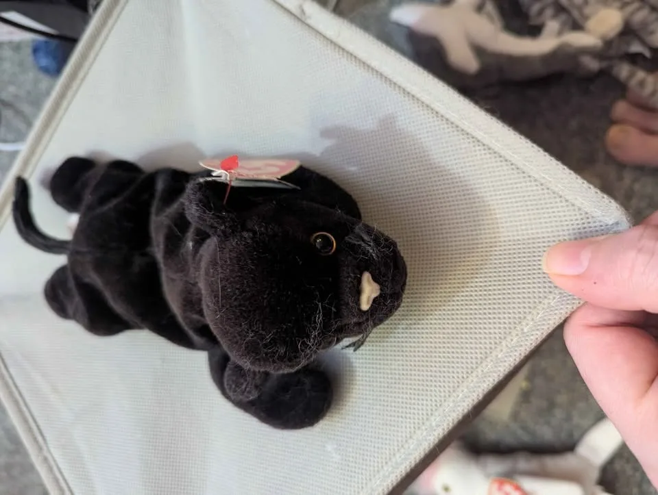 Beanie Baby image indicator(7)