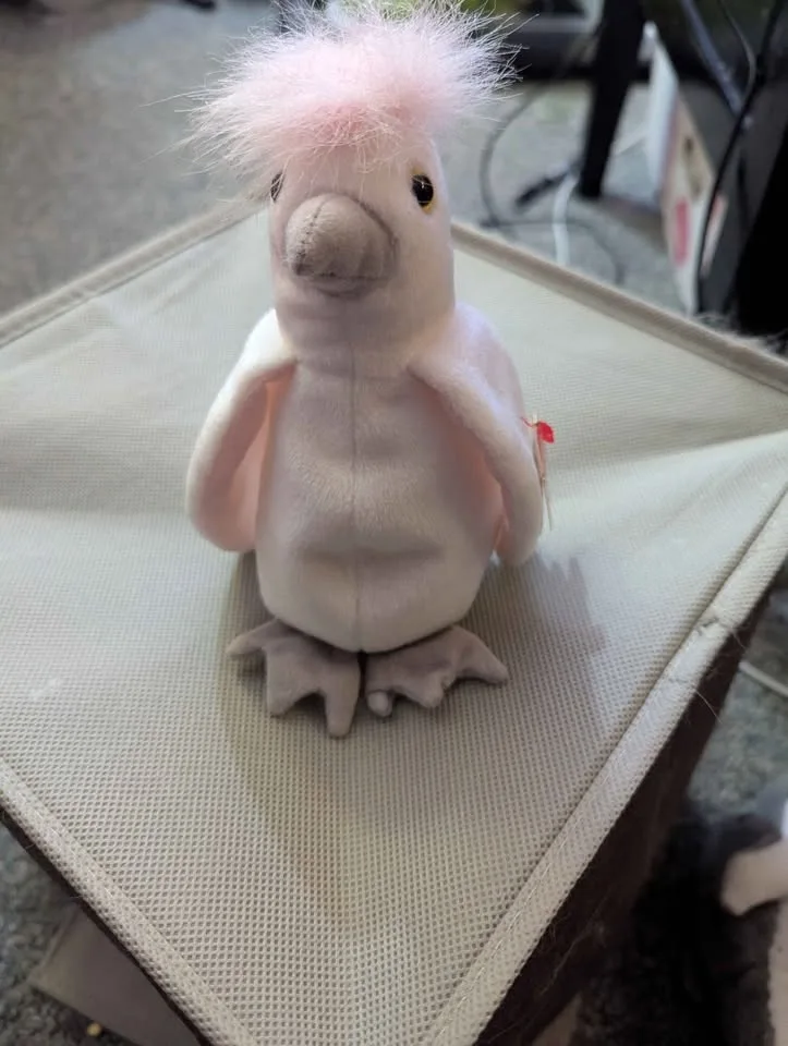 Beanie Baby image indicator(9)