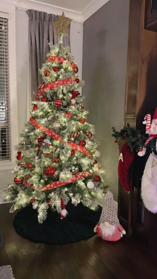 Christmas Tree image indicator(2)