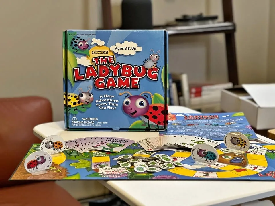 The Ladybug Game