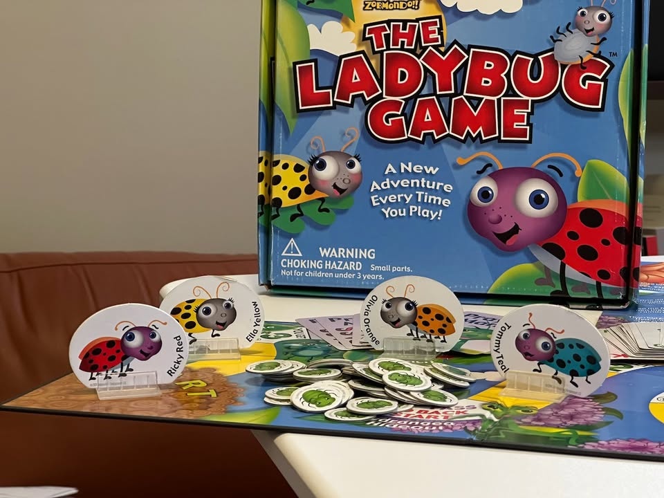 The Ladybug Game - photo 3
