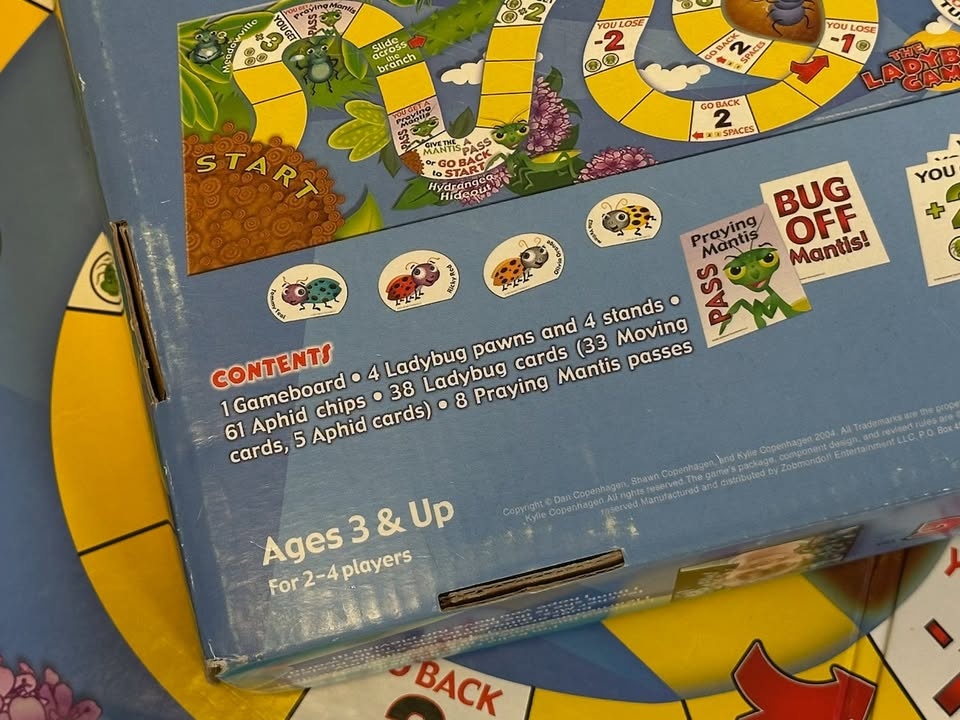 The Ladybug Game - photo 4