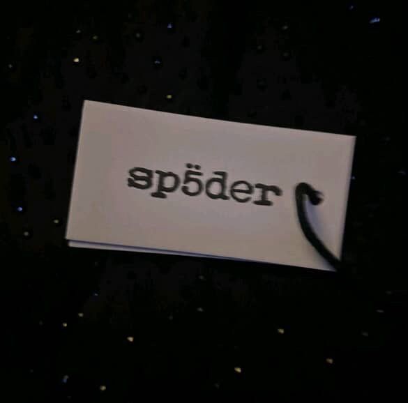 VVS Black Sp5der hoodie - photo 2