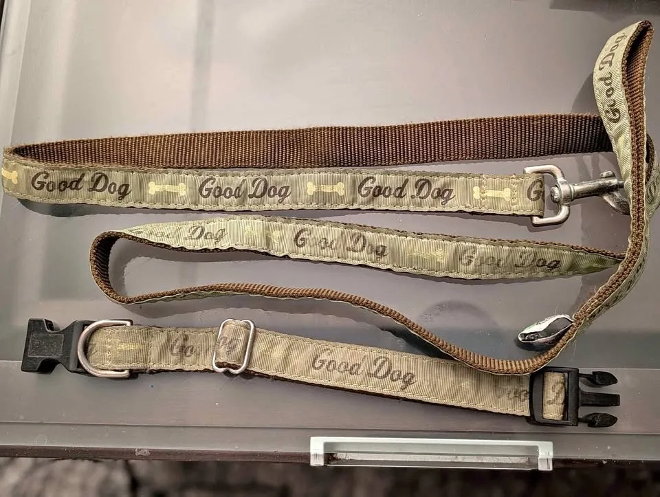 Dog collar and leash set