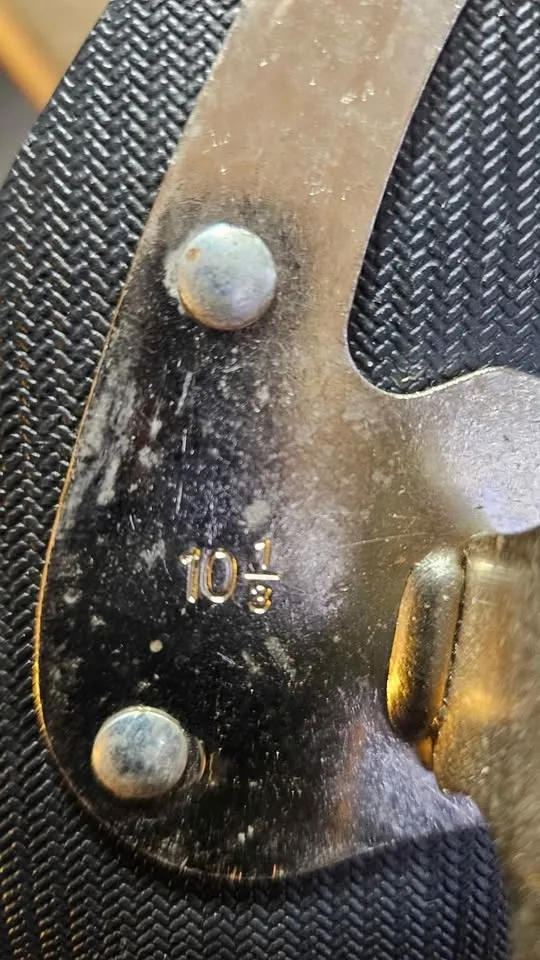 Ladys Ice Skaters image indicator(3)