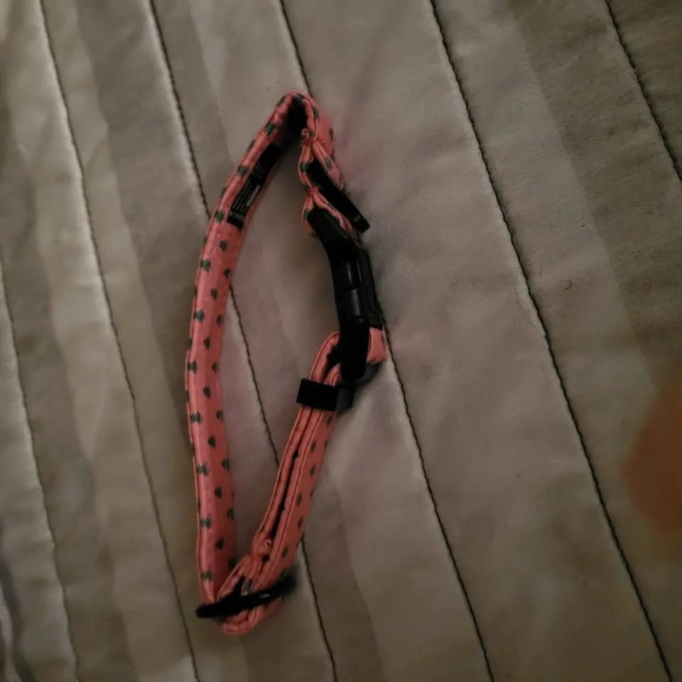 Dog collars / cat collars image indicator(2)