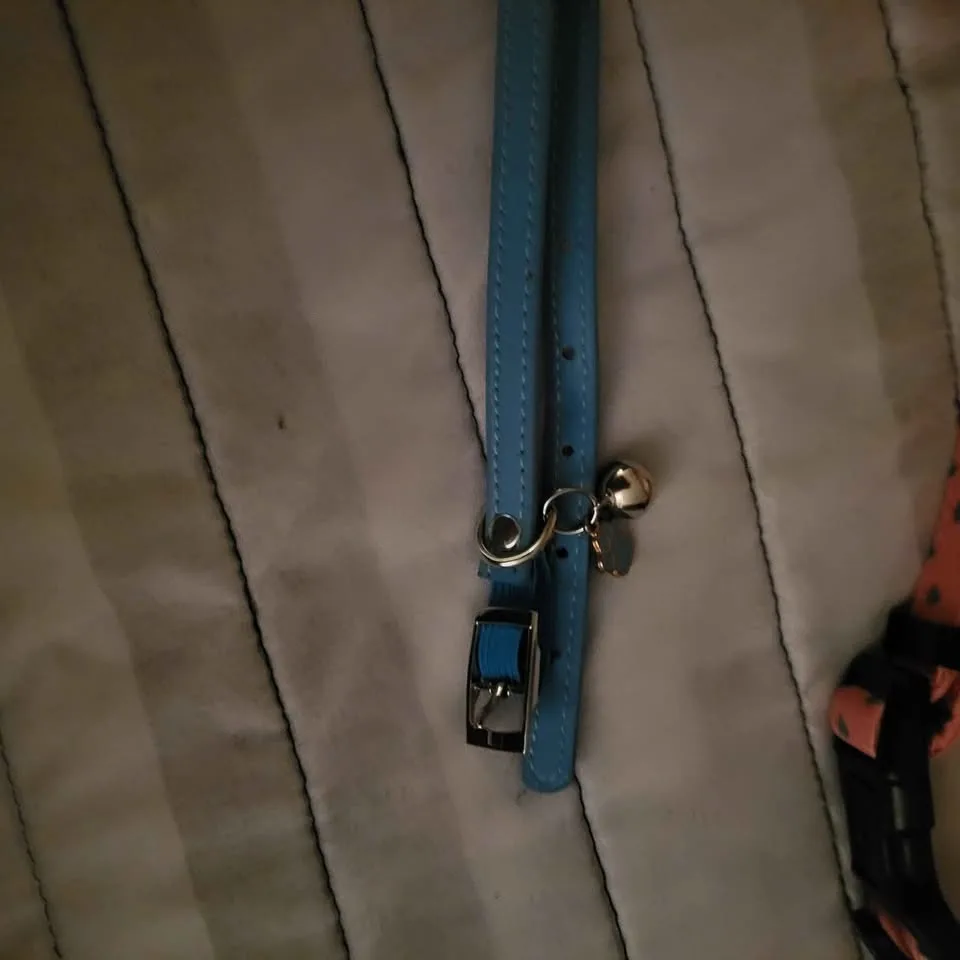 Dog collars / cat collars image indicator(4)