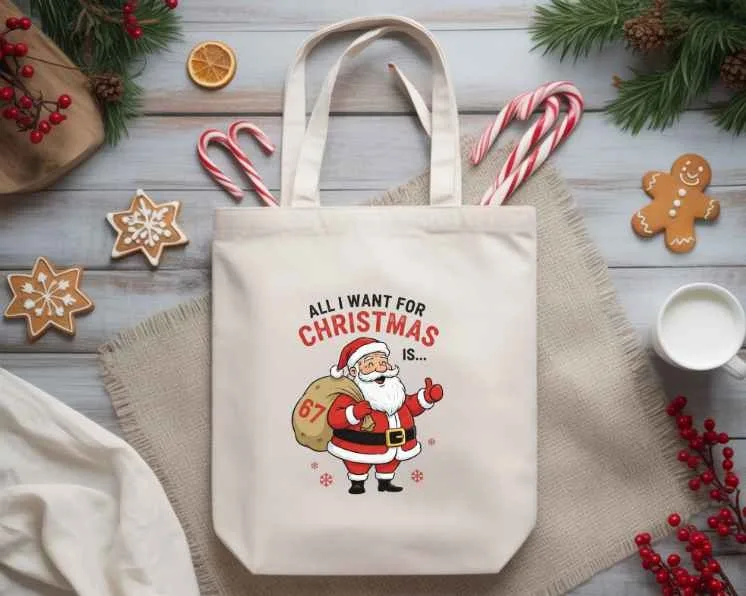 Fun 67 ornaments image indicator(10)