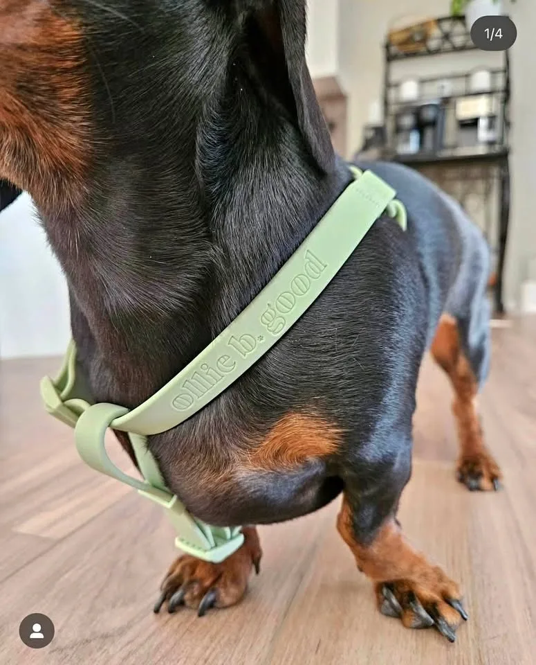Waterproof green dog harness - S size