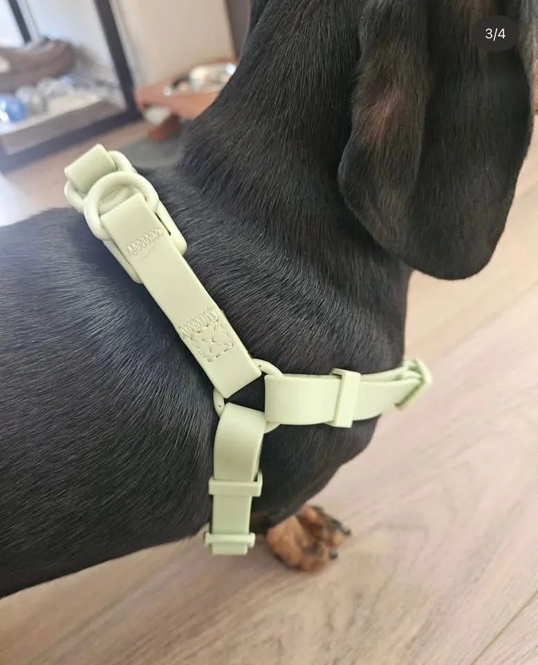 Waterproof green dog harness - S size image indicator(2)