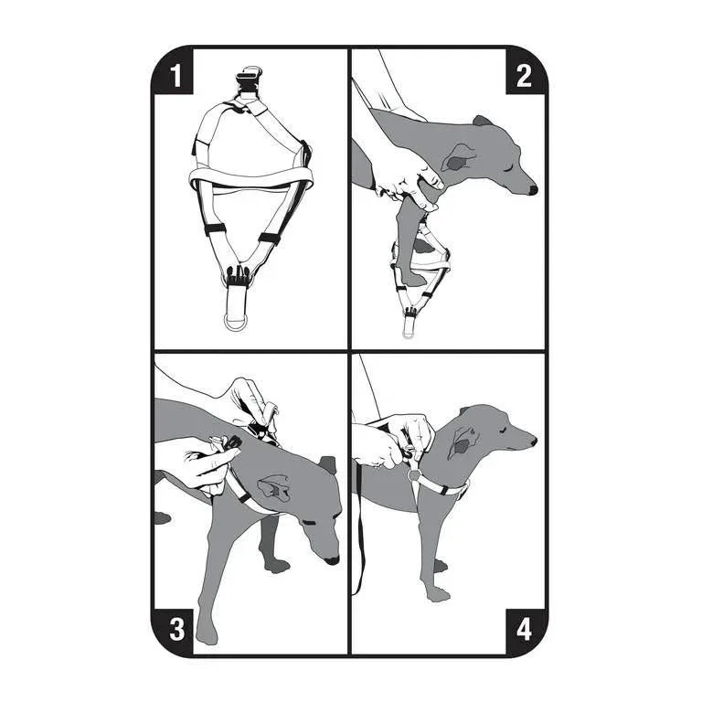 Waterproof green dog harness - S size image indicator(5)