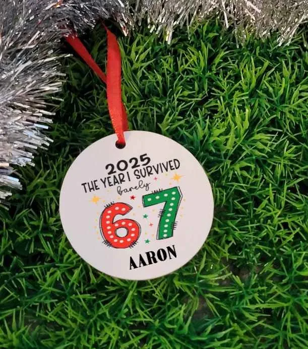 Fun 67 ornaments image indicator(5)