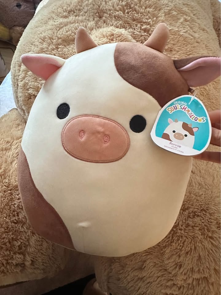 Size M and S Cow Squishmallows brand new