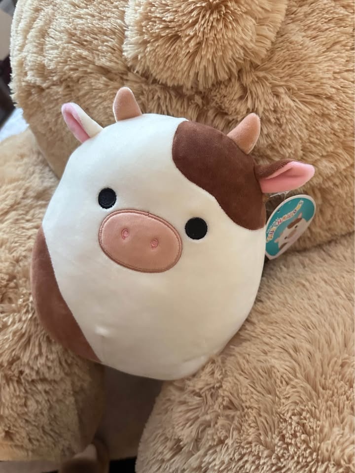 Size M and S Cow Squishmallows brand new - photo 2