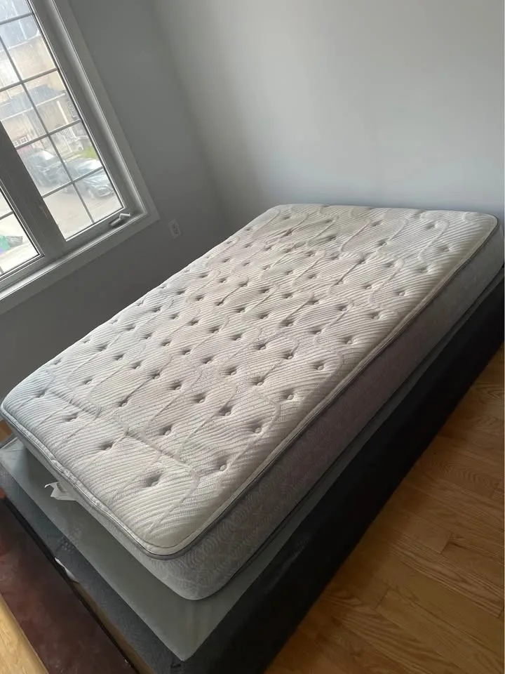 Free Queen and full mattress and box springs image indicator(4)