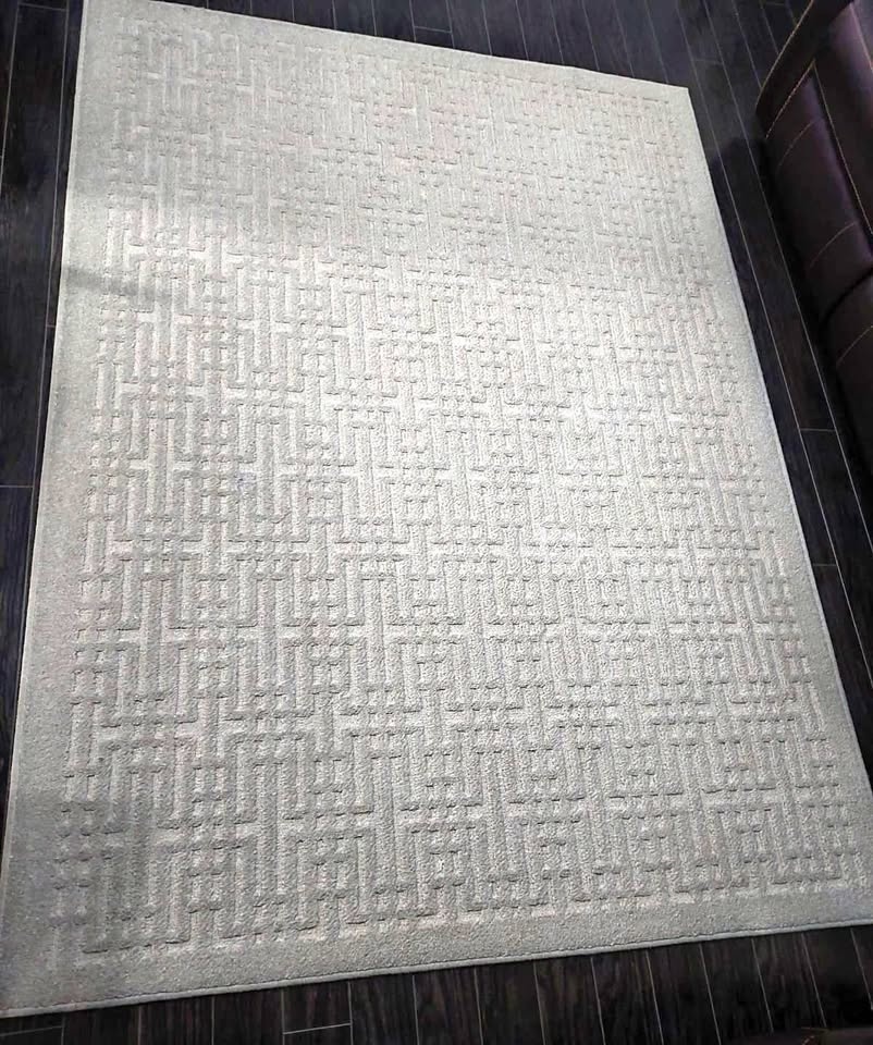 Light Beige Area Rug / Carpet – 5 ft × 7 ft – Clean & Gently Use
