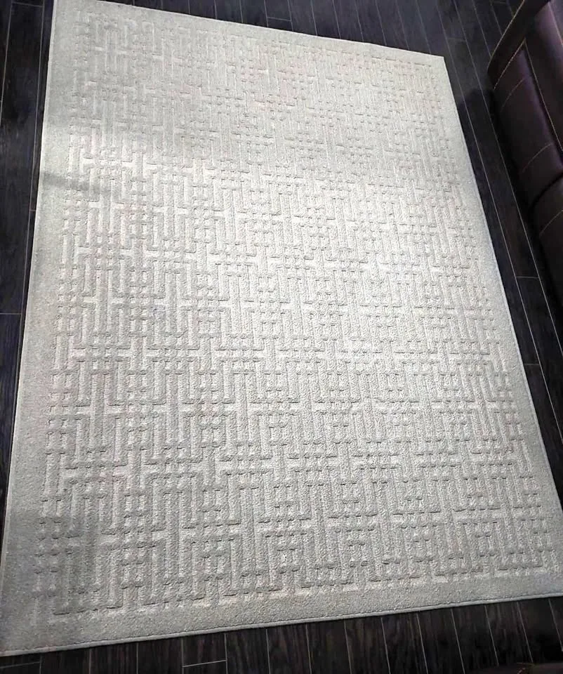 Light Beige Area Rug / Carpet – 5 ft × 7 ft – Clean & Gently Use