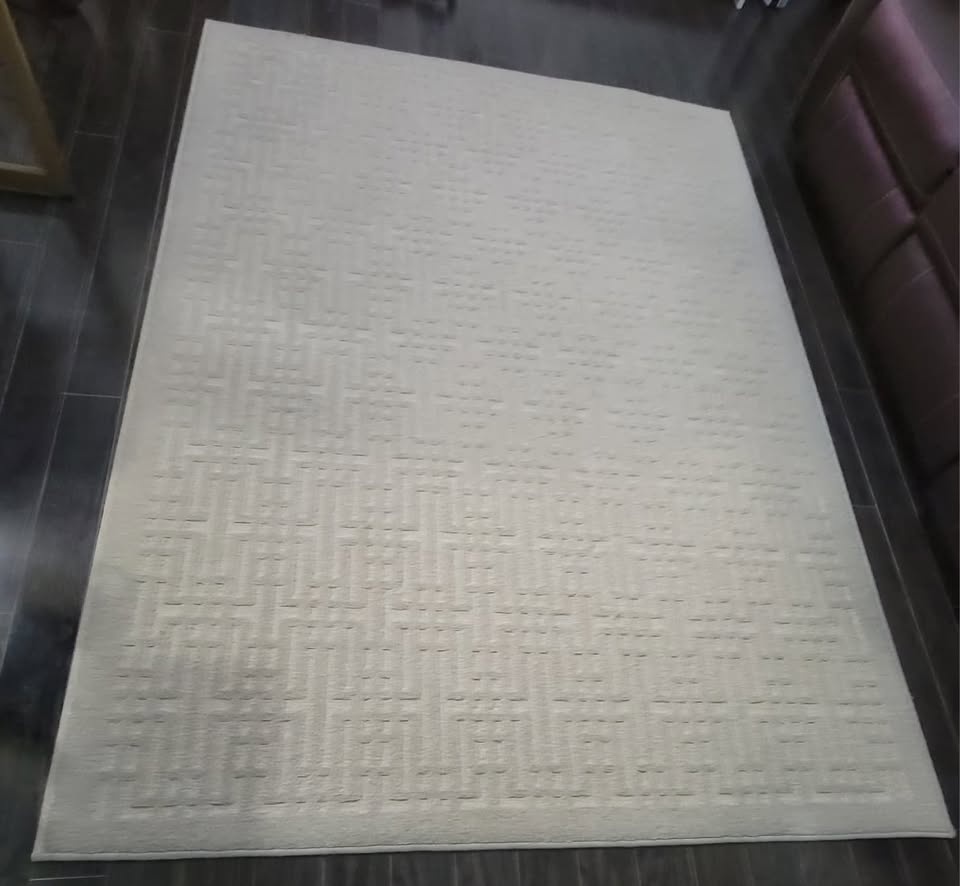 Light Beige Area Rug / Carpet – 5 ft × 7 ft – Clean & Gently Use - photo 2