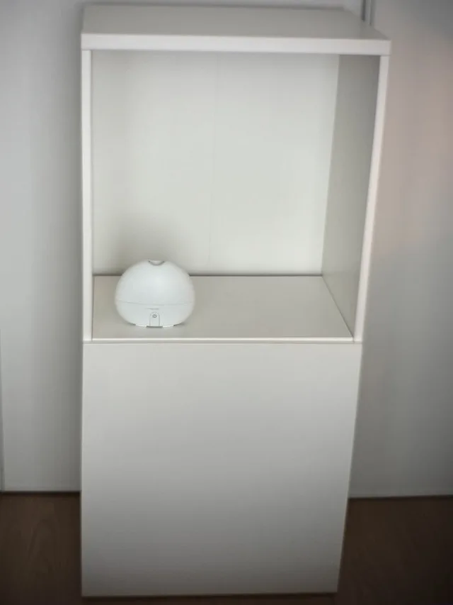 Besta Shelf Unit with Door White ($67 O.B.R.O.)