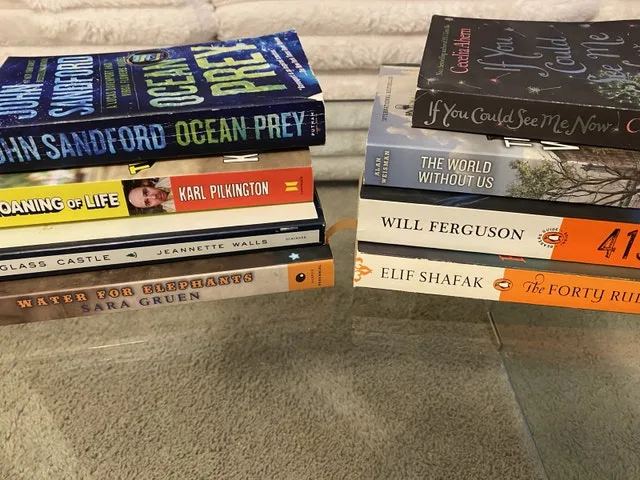 Paperback Books Bundle (Price is for All!).  #Cleanout