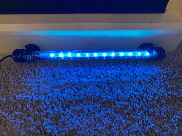 Aqua Culture Light #Cleanout