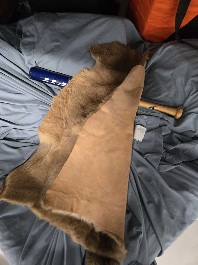 kangaroo skin rug image indicator(3)