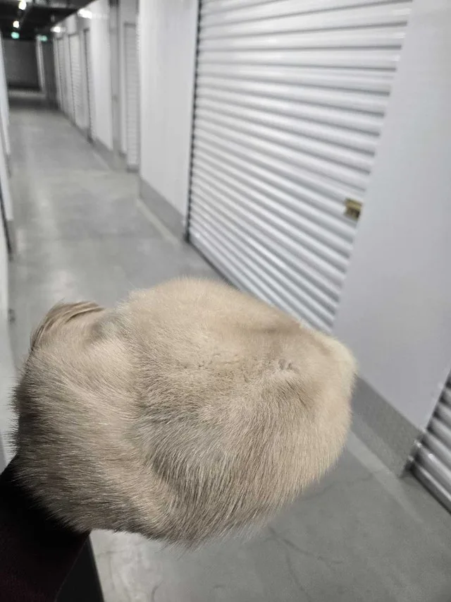 Mink fur hat image indicator(5)