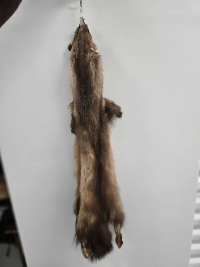 Russian sable pelts skins image indicator(2)