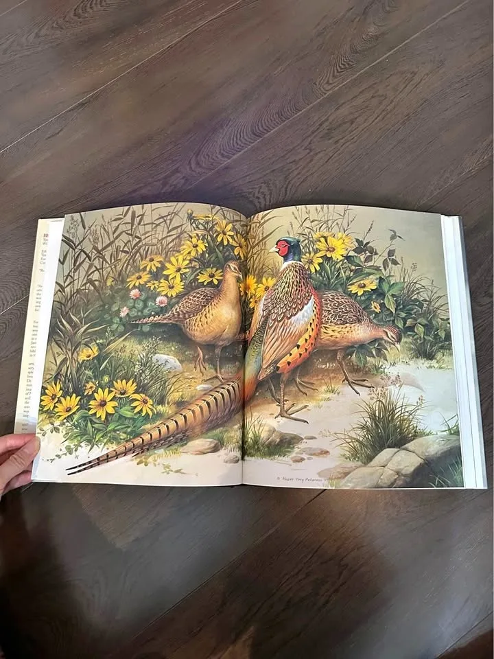 Beautiful Bird Art & Photography Book- Large