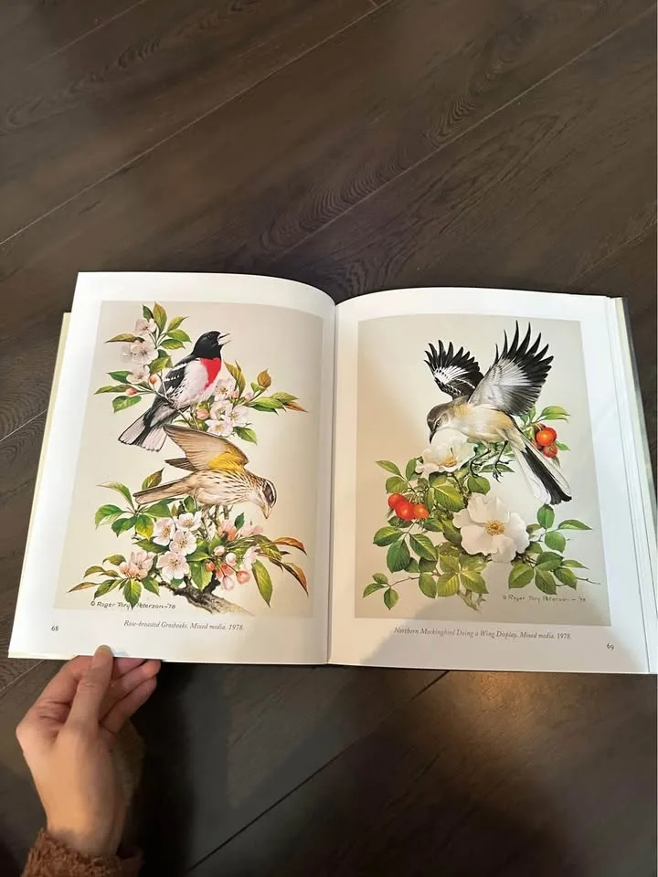 Beautiful Bird Art & Photography Book- Large image indicator(2)