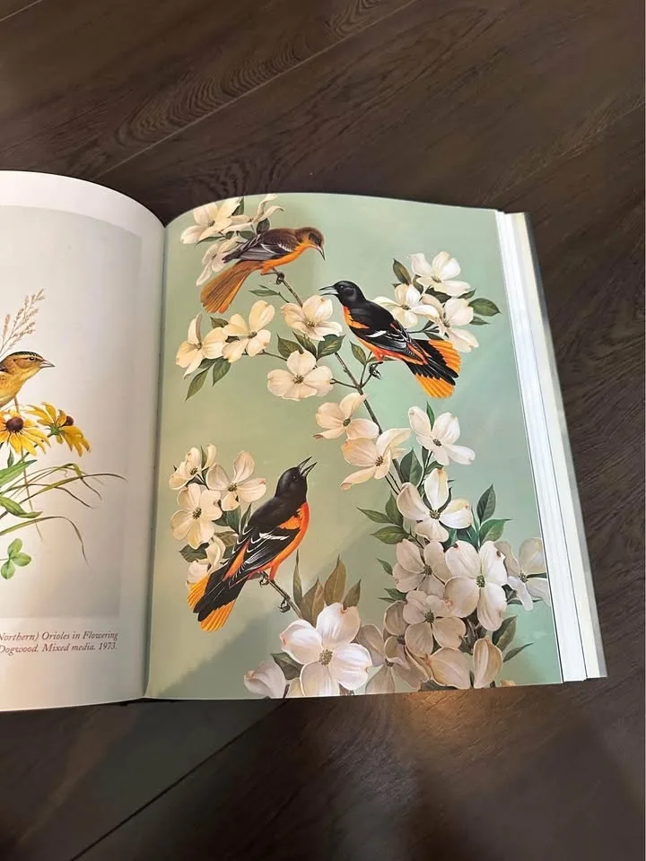 Beautiful Bird Art & Photography Book- Large image indicator(3)