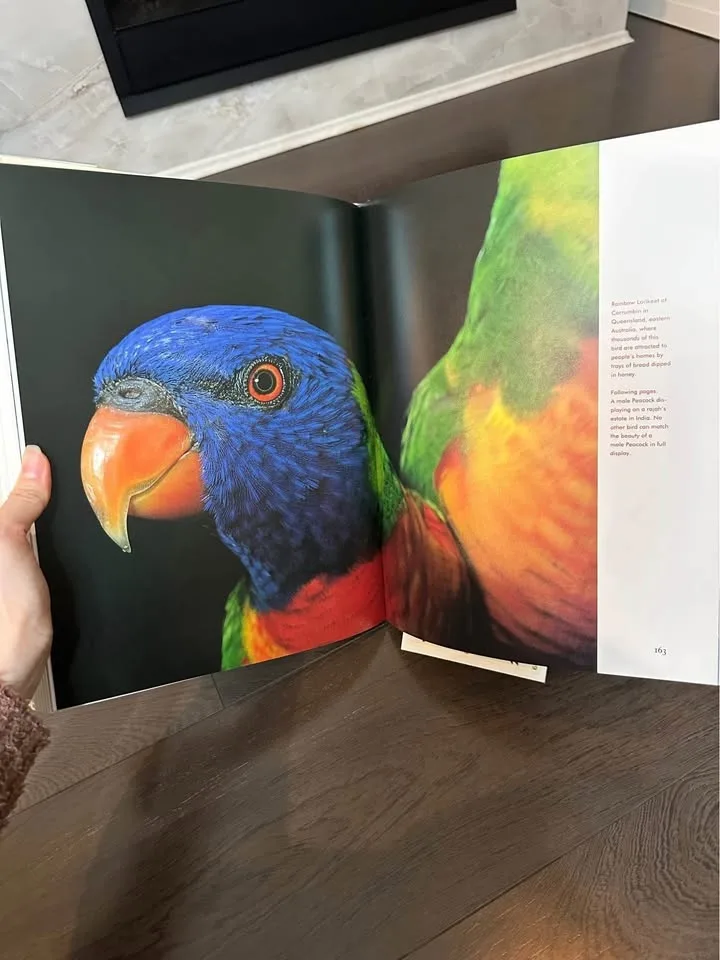 Beautiful Bird Art & Photography Book- Large image indicator(4)