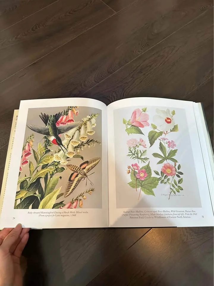 Beautiful Bird Art & Photography Book- Large image indicator(5)